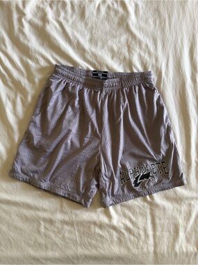 Alphalete Men's Athletic Mesh Shorts - Lavender